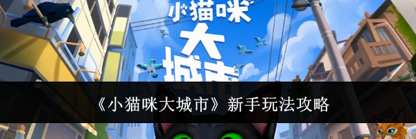 《小猫咪大城市》新手玩法攻略