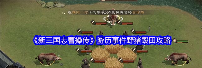 《新三国志曹操传》游历事件野猪毁田攻略