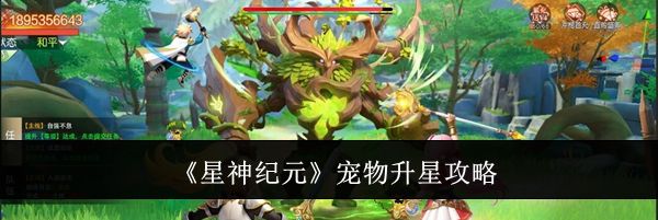 《星神纪元》宠物升星攻略