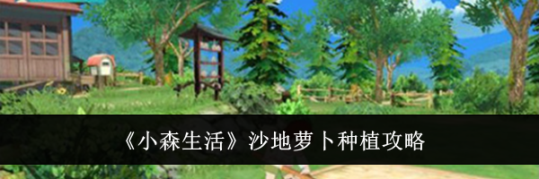 《小森生活》沙地萝卜种植攻略