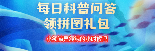 小须鲸是须鲸的小时候吗