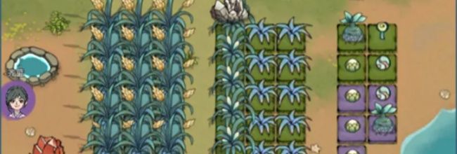 《修仙家族模拟器》符箓合集