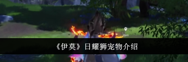 《伊莫》日耀狮宠物介绍