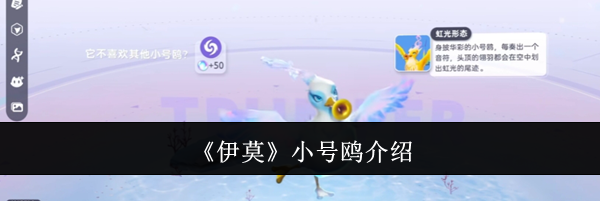 《伊莫》小号鸥介绍