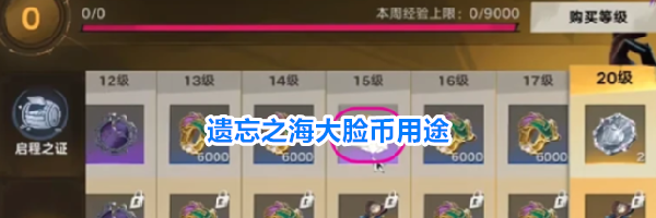 遗忘之海大脸币用途