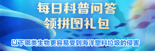 以下哪类生物更容易受到海洋塑料垃圾的侵害