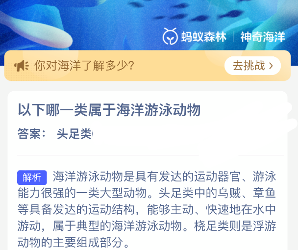 以下哪一类属于海洋游泳动物