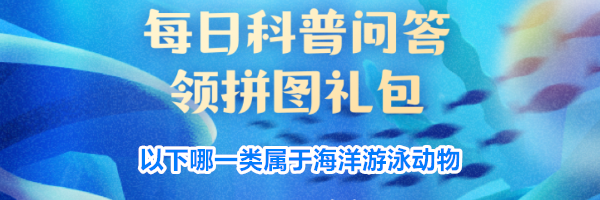 以下哪一类属于海洋游泳动物