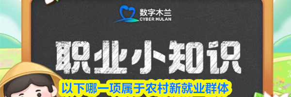 以下哪一项属于农村新就业群体