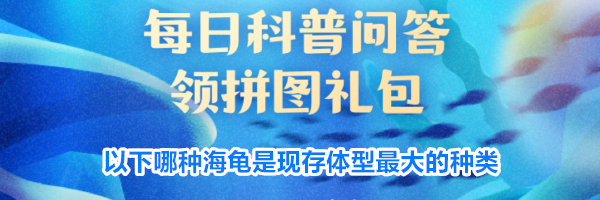 以下哪种海龟是现存体型最大的种类