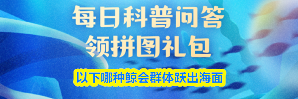 以下哪种鲸会群体跃出海面
