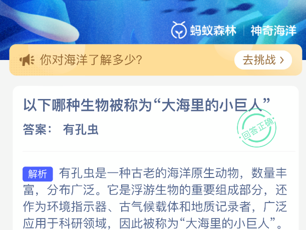 以下哪种生物被称为大海里的小巨人