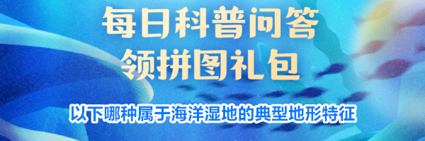 以下哪种属于海洋湿地的典型地形特征