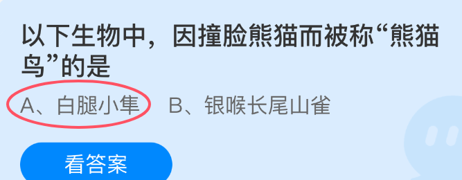 以下生物中因撞脸熊猫而被称熊猫鸟的是