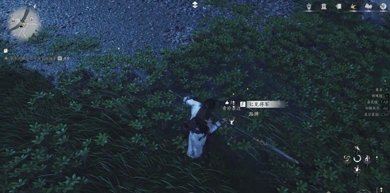 《燕云十六声》奇珍系统玩法介绍