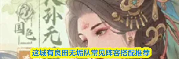 这城有良田无垢队常见阵容搭配推荐