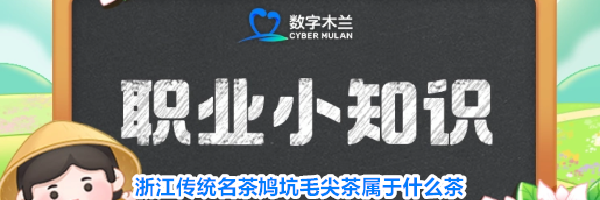 浙江传统名茶鸠坑毛尖茶属于什么茶