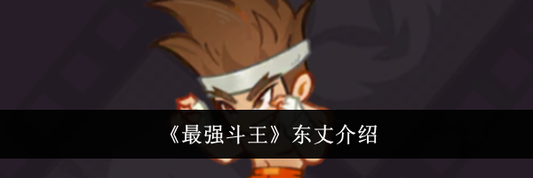 《最强斗王》东丈介绍