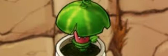 植物大战僵尸融合版西瓜伞属性介绍